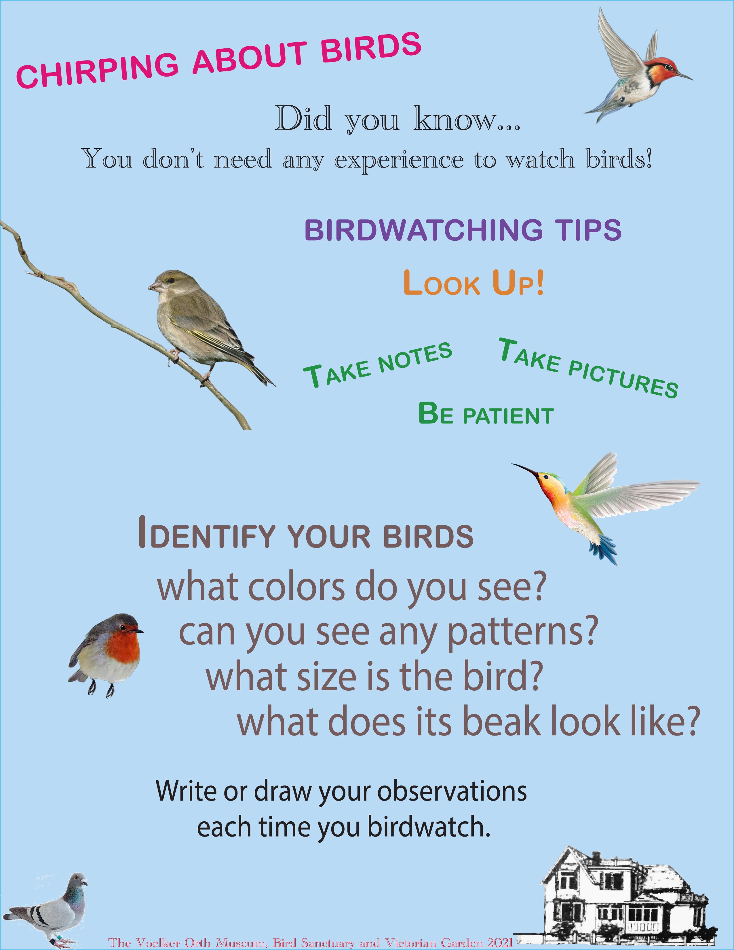 Birdwatching Tips
